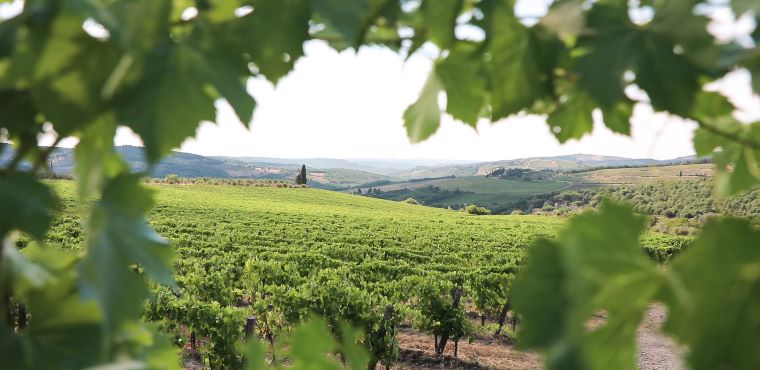 Chianti countryside